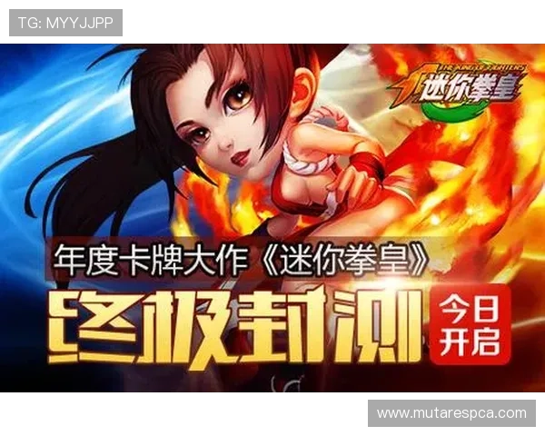 九游娱乐真人版全站登录用户体验提升方案,优化界面设计与操作流程带来更佳体验 九游娱乐真人版全站登录用户体验提升方案,优化界面设计与操作流程带来更佳体验